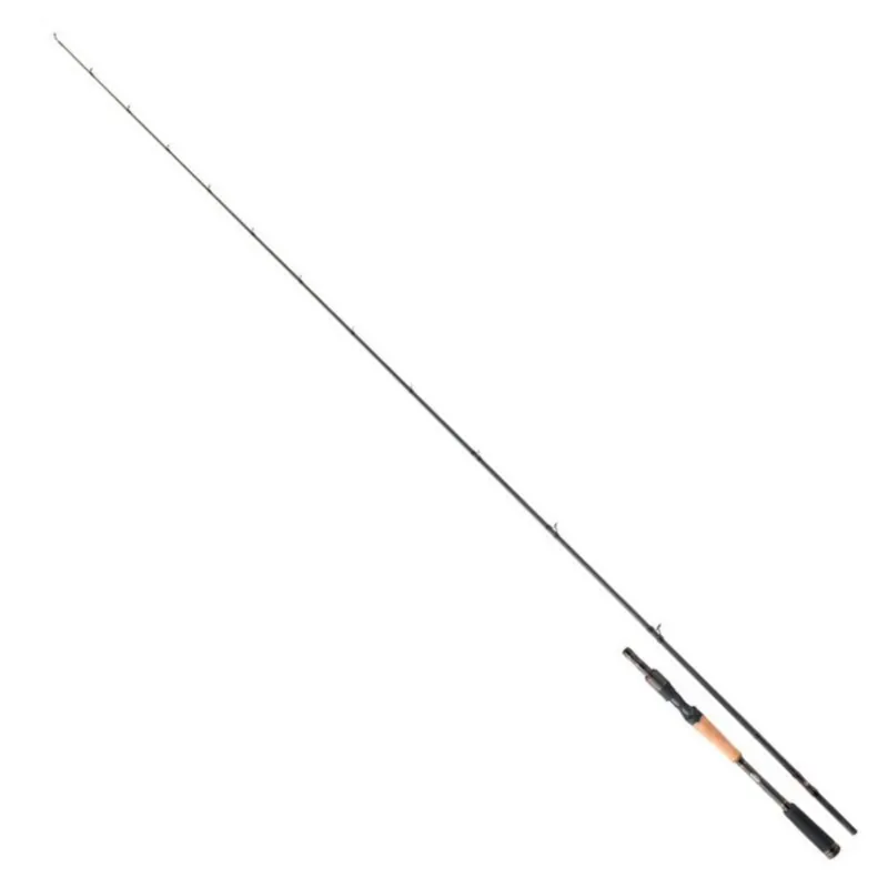 Abu Garcia Rocksweeper Casting Snelle Levering