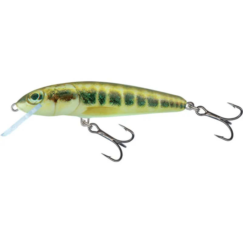 Aanbieding Salmo Minnow Sinking - 5 Cm