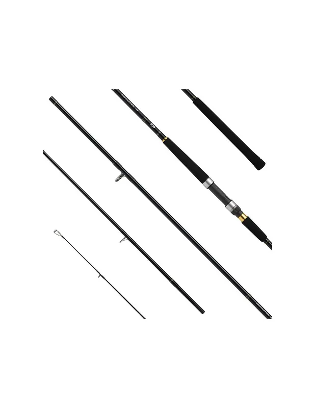 Laatste Versie Canna da Shore Jigging DAIWA Jigcaster